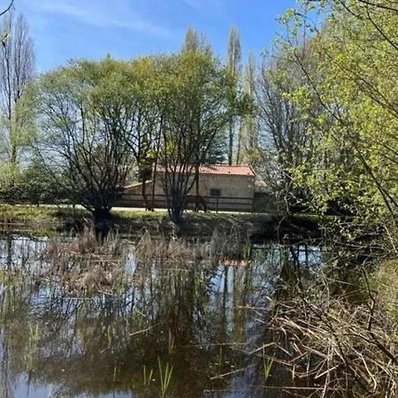 Charmant, Spacieux, A 15 Km De Nantes, 2 Chambres, Terrasse, Parking, Animaux Acceptes - Fr-1-306-1238 בית נופש Mauve-sur-Loire