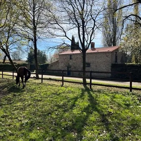 Charmant, Spacieux, A 15 Km De Nantes, 2 Chambres, Terrasse, Parking, Animaux Acceptes - Fr-1-306-1238